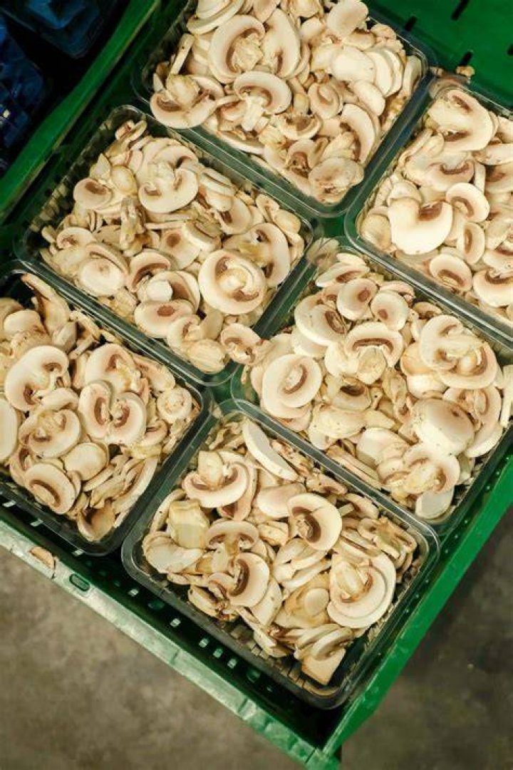Wanneer Champignons Slecht?