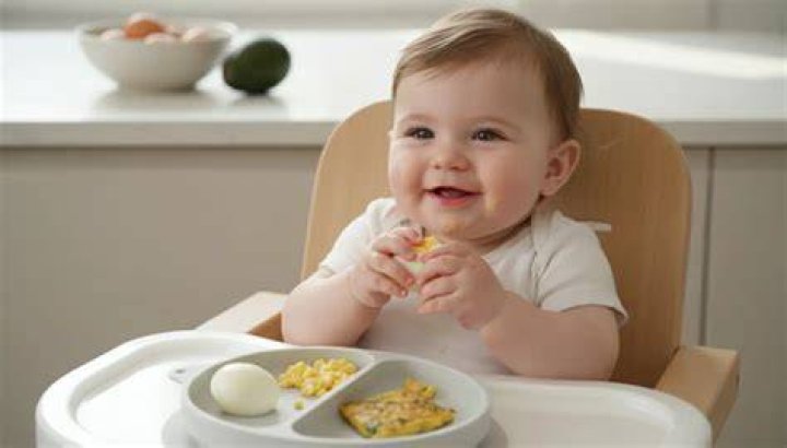 Wanneer Ei Baby? (Best solution)