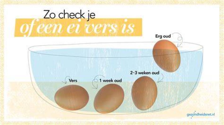 Wanneer Is Ei Vers? (Solution)