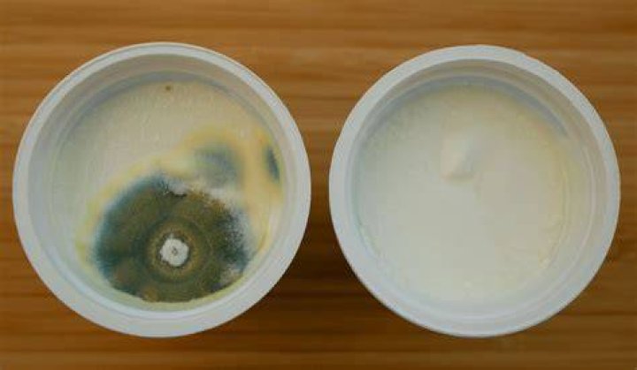Wanneer Is Yoghurt Bedorven?