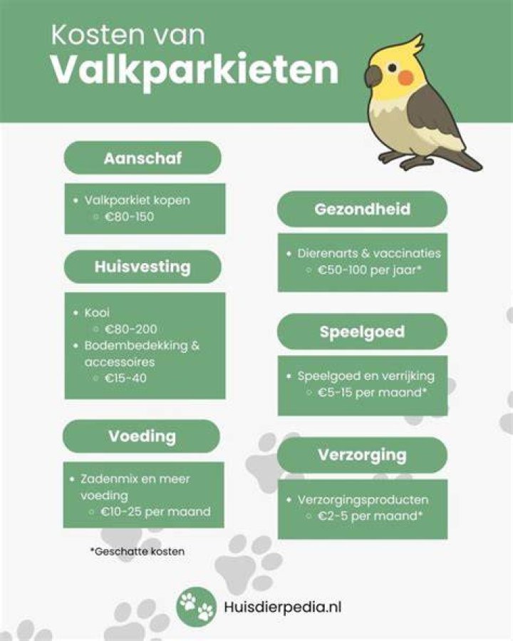 Wanneer Legt Een Valkparkiet Een Ei? (Question)