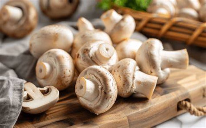 Wanneer Zijn Champignons Over Datum?