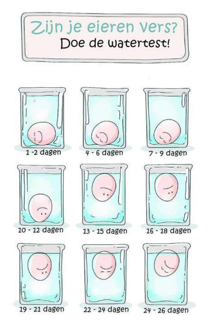 Wat Als Een Ei Drijft? (Solution found)