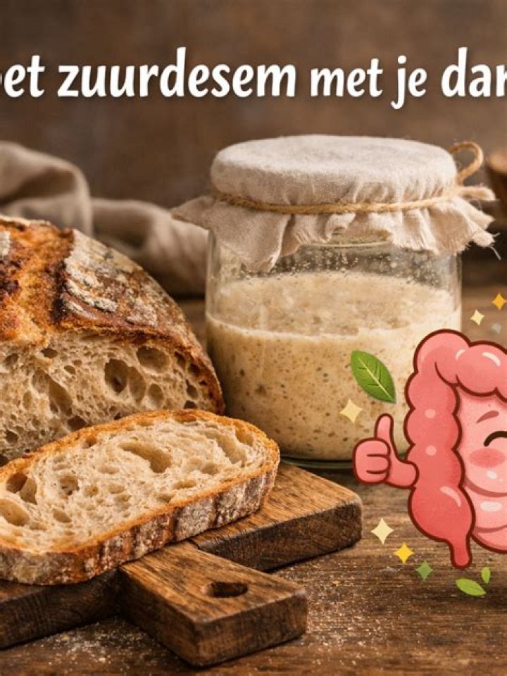 Wat Doet Havermout Met Je Darmen?