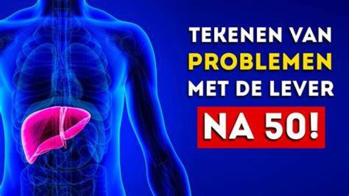 Wat Doet Levertraan Voor Je?