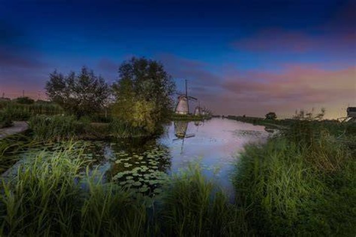 Wat Is De Functie Van De Iris?