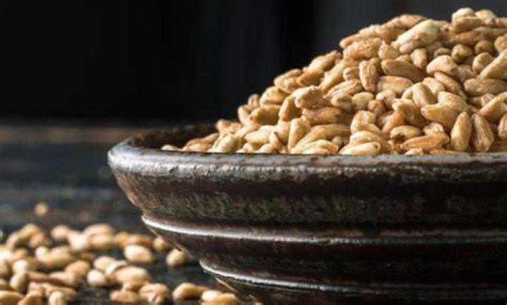 Wat Is Farro Graan?