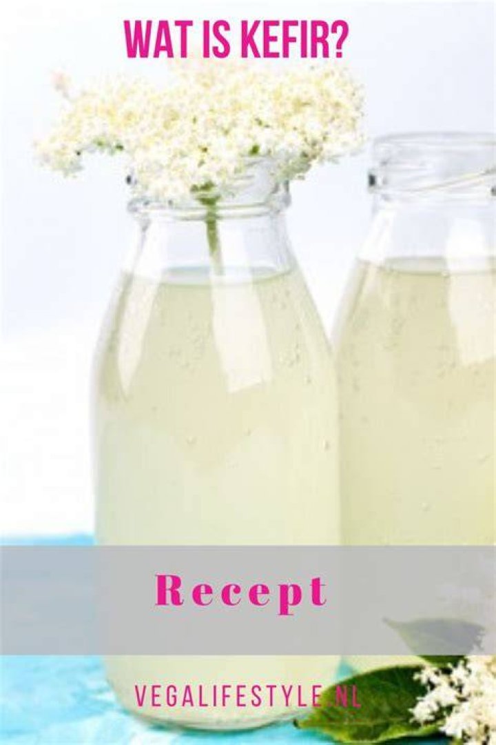 Wat Is Gedroogde Kefir?