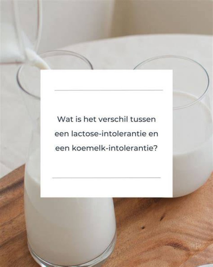 Wat Is Het Verschil Tussen Lactose En Koemelk?