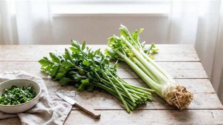 Wat Is Het Verschil Tussen Peterselie En Selderij?
