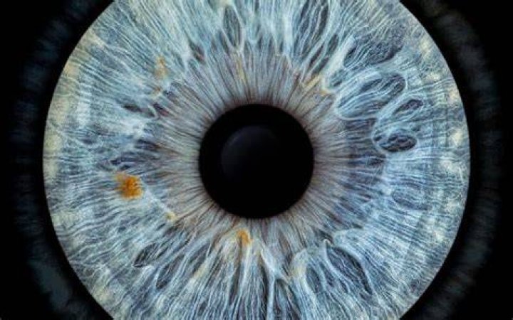 Wat Is Iris?