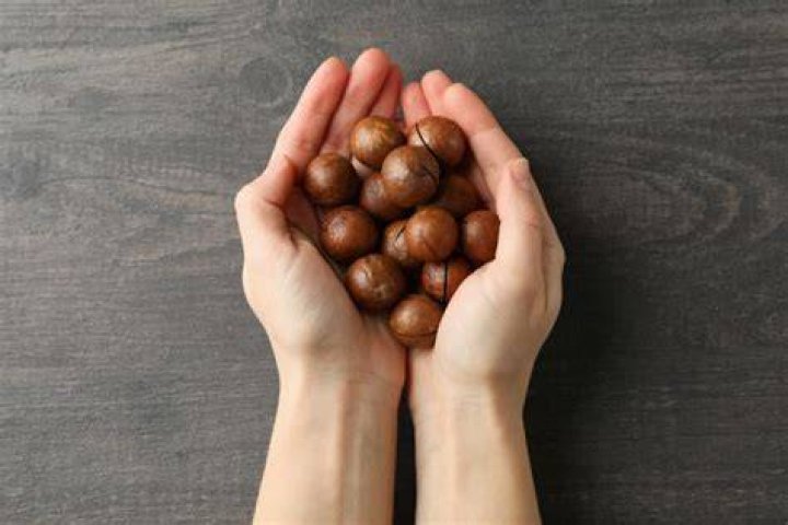 Wat Is Macadamia?
