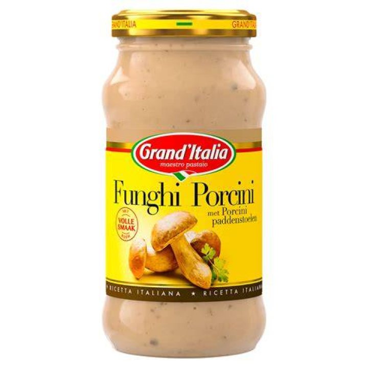 Wat Is Porcini Saus?