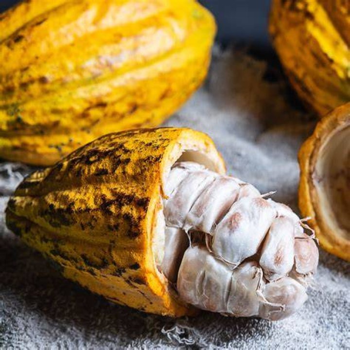 Wat Is Rauwe Cacao?