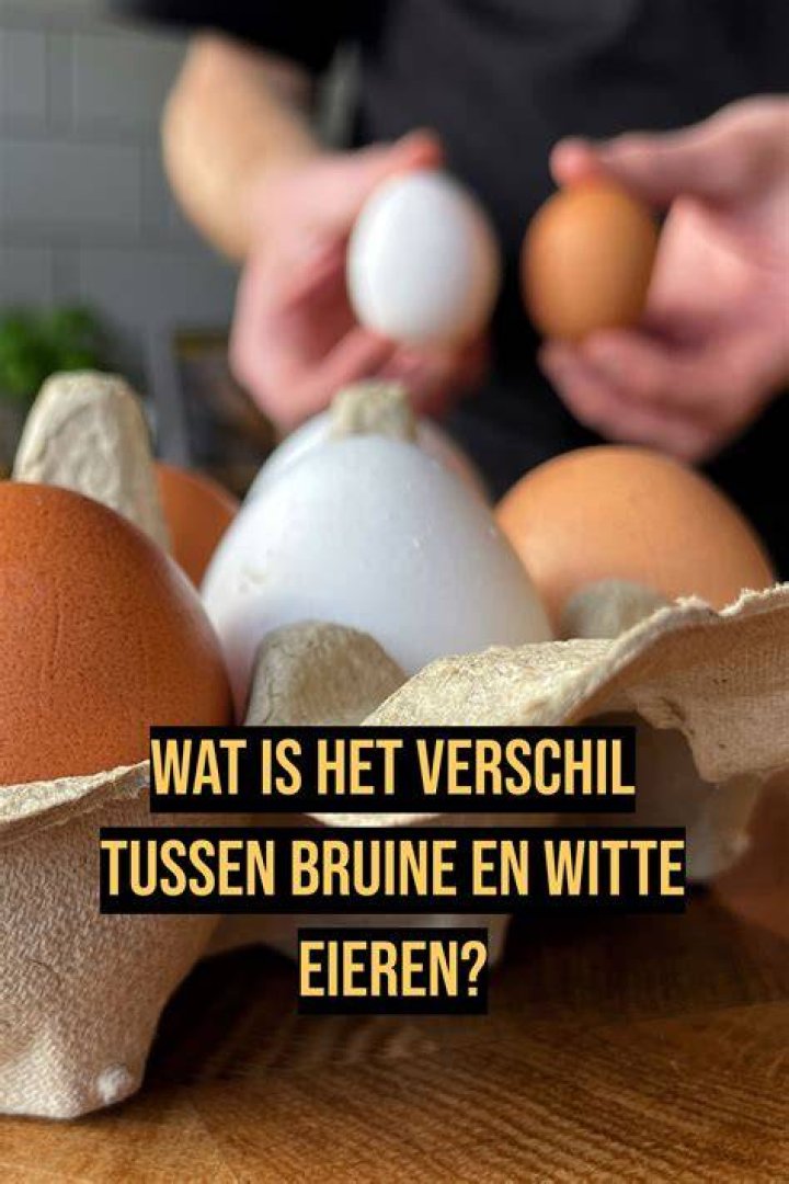 Wat Is Verschil Tussen Wit En Bruin Ei? (Best solution)