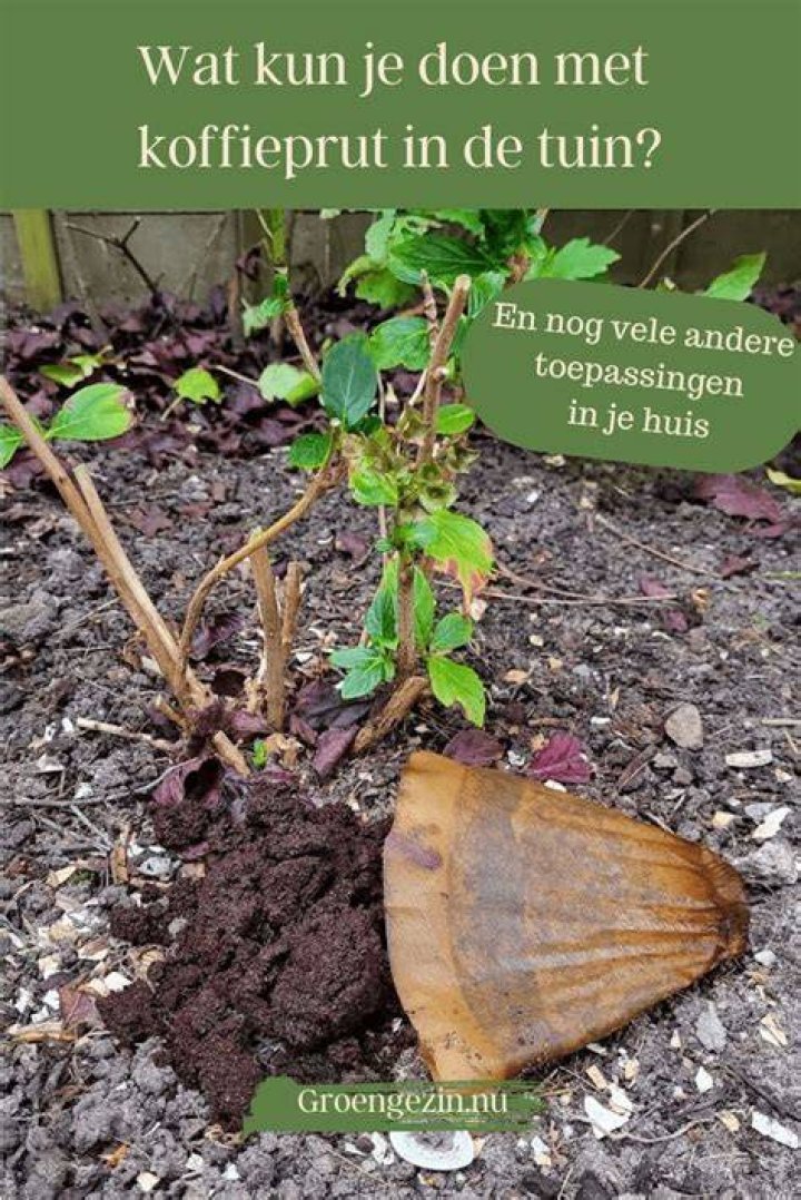 Wat Kun Je Doen Met Cacao Nibs?