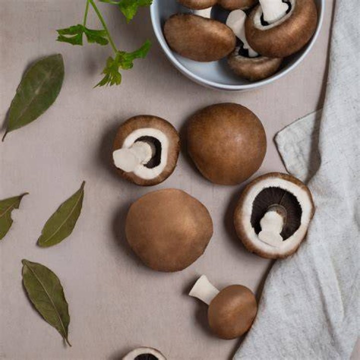 Wat Zijn Champignons?