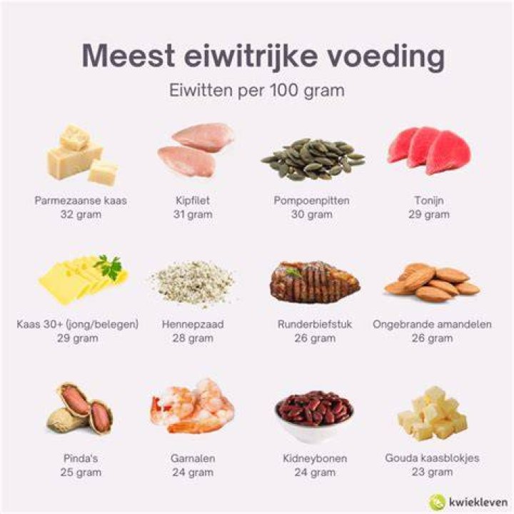 Wat Zijn Eiwitrijke Producten?