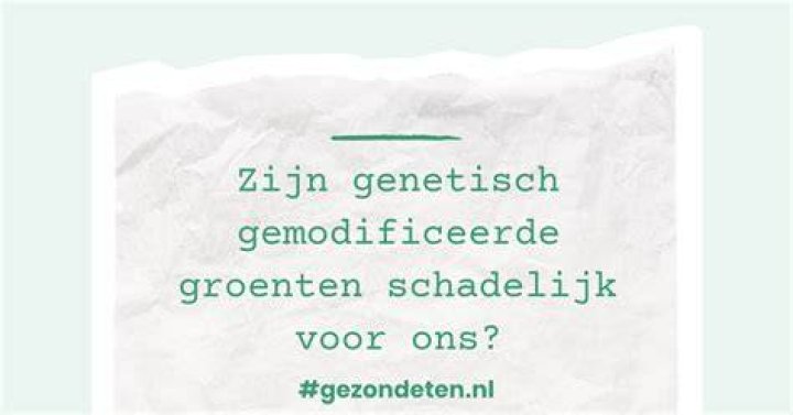 Wat Zijn Genetisch Gemodificeerde Producten?
