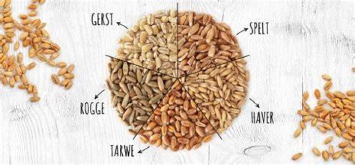 Wat Zijn Haver Gluten?