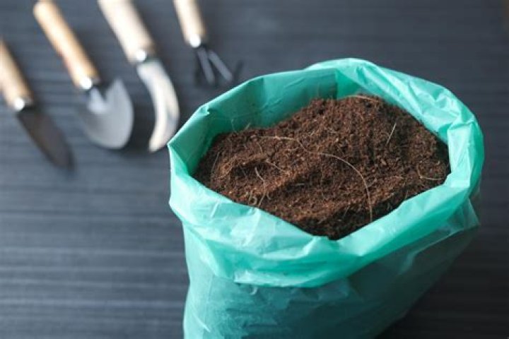 Wat Zijn Organische Producten?