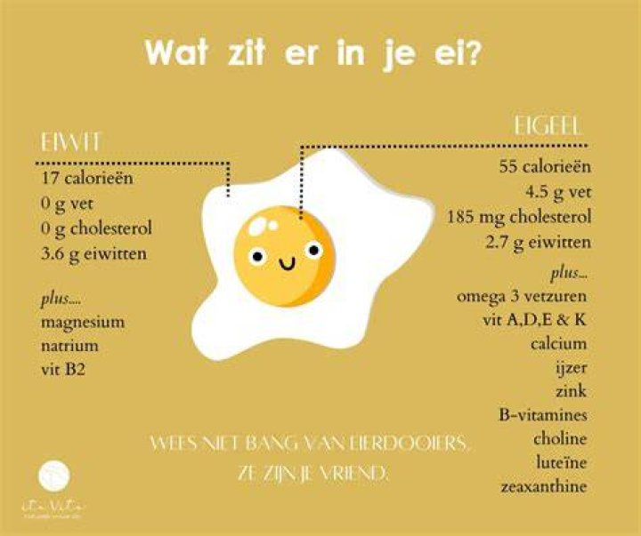 Wat Zit Er In Een 10Km Ei? (Correct answer)