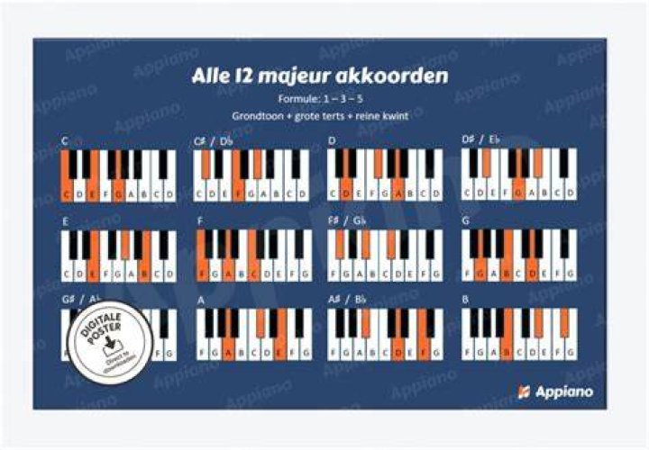 Welk Akkoord Bij Welke Noot?