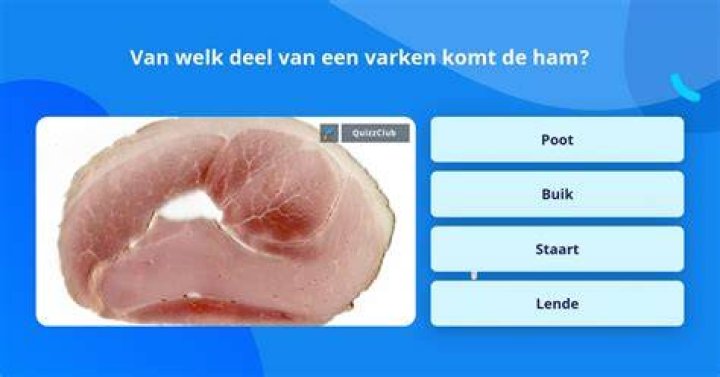 Welk Deel Komt Camembert?