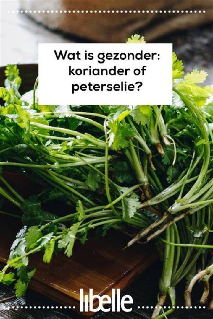 Welke Kruiden In Plaats Van Peterselie?