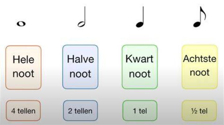 Welke Noot Is C?
