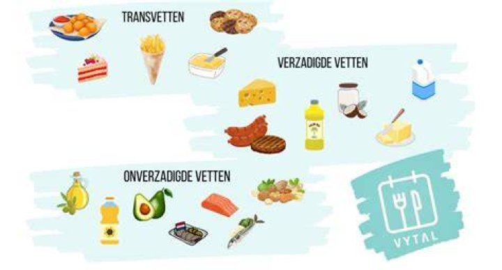Welke Producten Bevatten Transvetten?