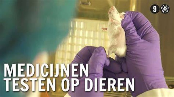 Welke Producten Testen Op Dieren?