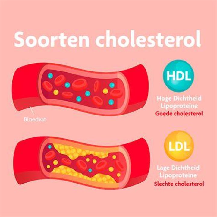 Welke Producten Verlagen Cholesterol?