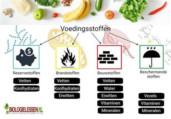 Welke Voedingsstoffen Zitten Er In Champignons?