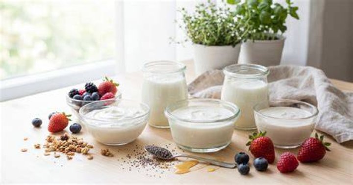 Welke Yoghurt Is Het Dikst?