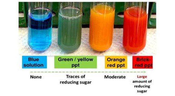 What colour is the Benedicts solution?