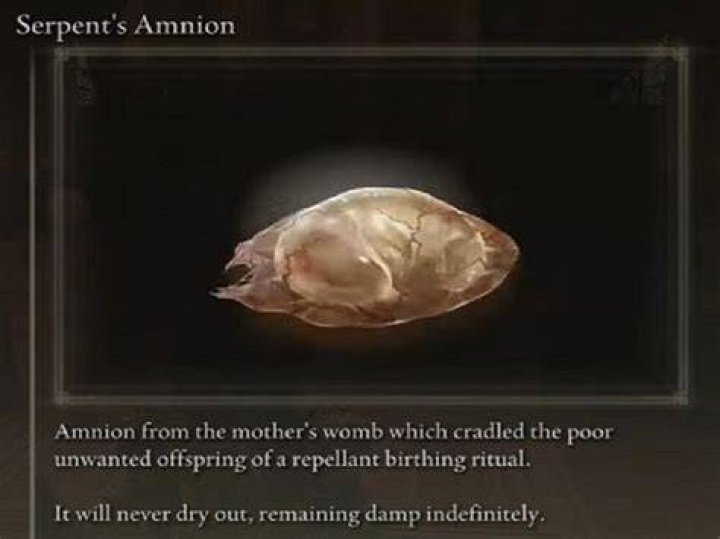 What do I do with the serpent’s amnion?
