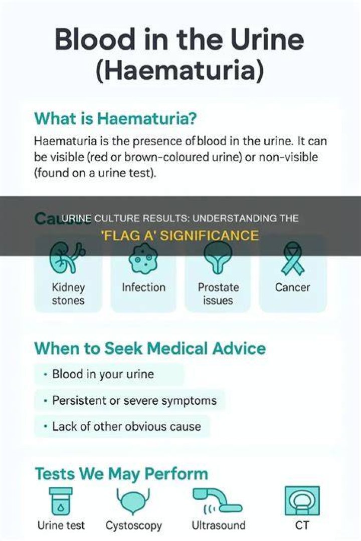 What does flag a mean on urine test results?