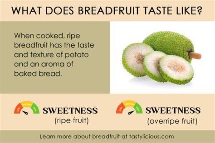 What does raw breadfruit taste like?