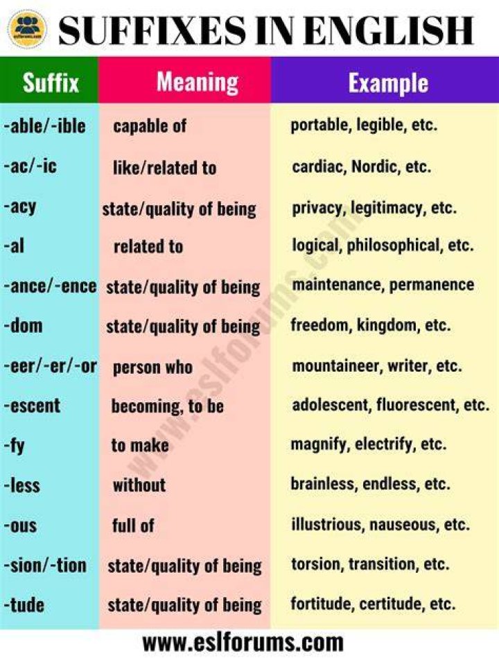 What does the suffix ase mean?