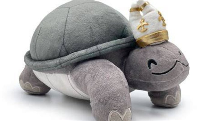 What does the turtle pope do?