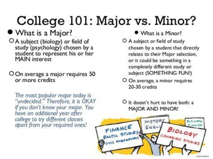 What does your major mean?