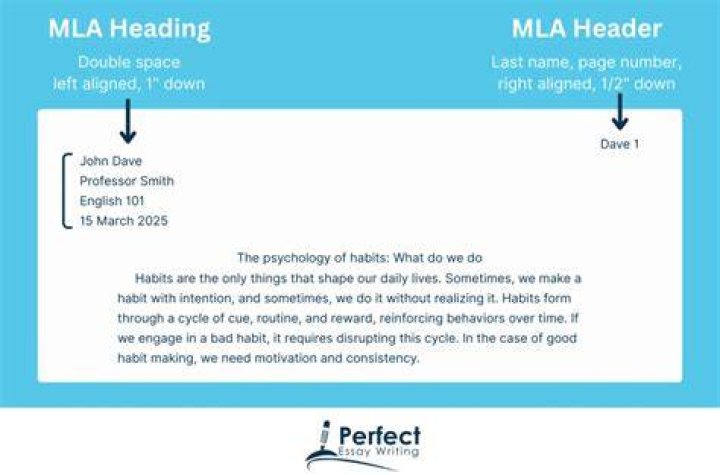 What goes in an MLA header?
