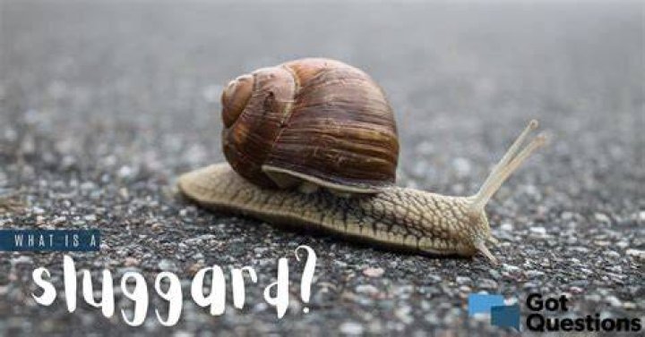 What is a sluggard? What does Proverbs teach about sluggards?