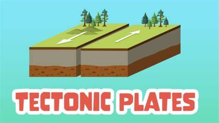 What is definition of plates?