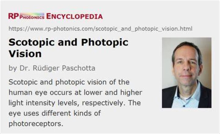 What is difference between scotopic and photopic vision?