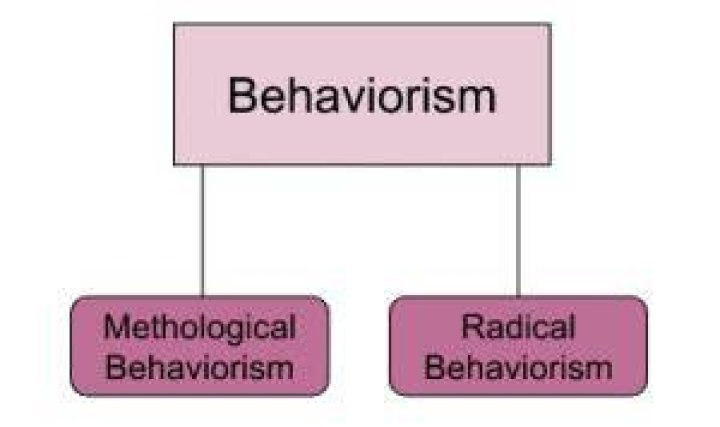 What is methodological behaviorism?
