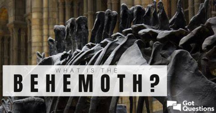 What is the behemoth? | GotQuestions.org