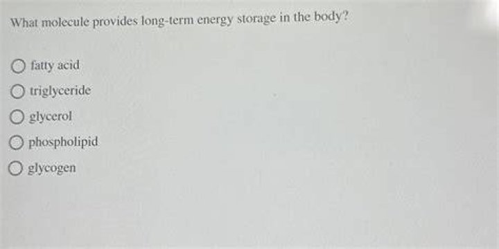 What molecule provides long-term energy storage in the body?