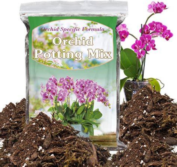 What other plants can be planted in orchid mix?